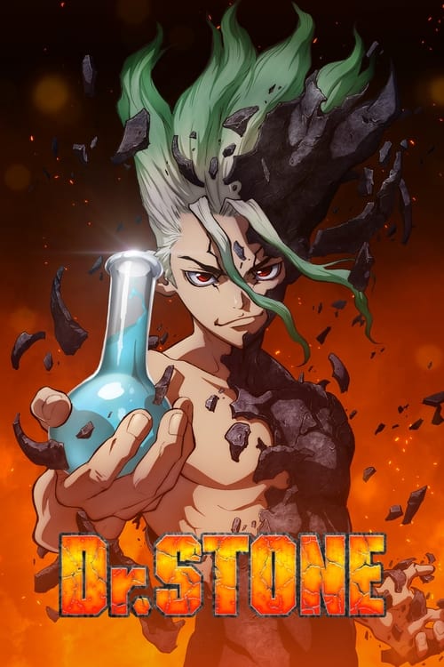 Dr  STONE